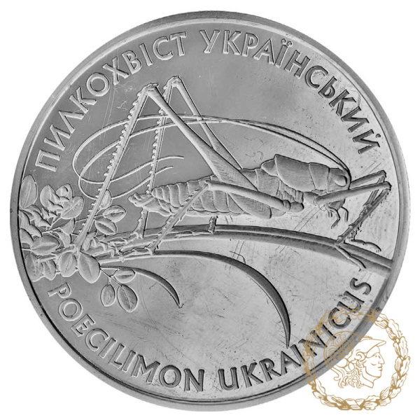 Срібна монета 10 гривень 2006 рік, Україна. Пилкохвіст український