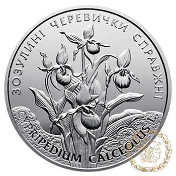Срібна монета 10 гривень 2016 рік, Україна. Зозулині черевички справжні 