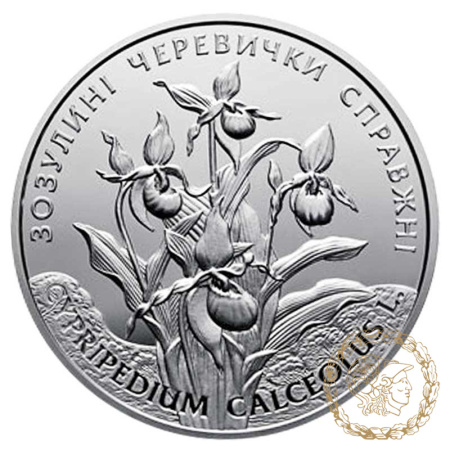 Срібна монета 10 гривень 2016 рік, Україна. Зозулині черевички справжні 