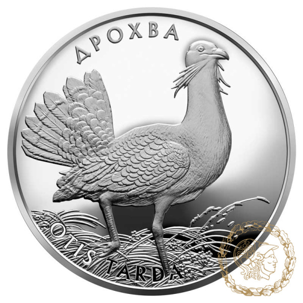 Срібна монета 10 гривень 2013 рік, Україна. Дрохва
