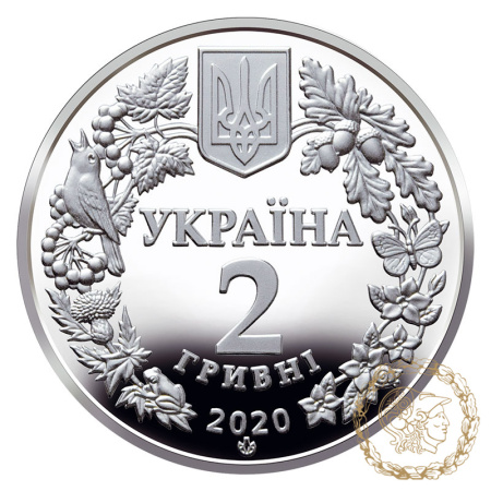 Монета нейзильбер 2 гривні 2020 рік, Україна. Совка розкішна