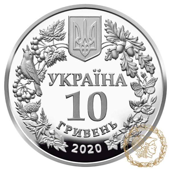 Срібна монета 10 гривень 2020 рік, Україна.  Совка розкішна