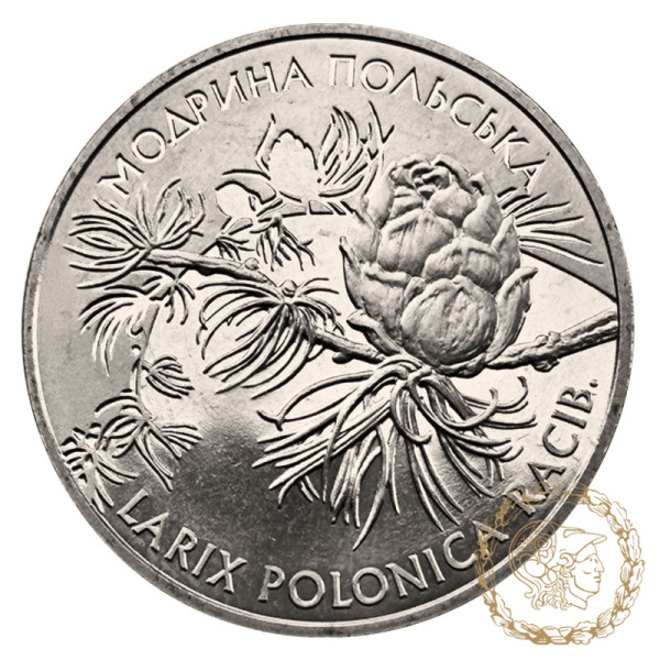 Монета нейзильбер 2 гривні 2001 рік, Україна. Модрина польська  