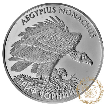 Срібна монета 10 гривень 2008 рік, Україна. Гриф чорний