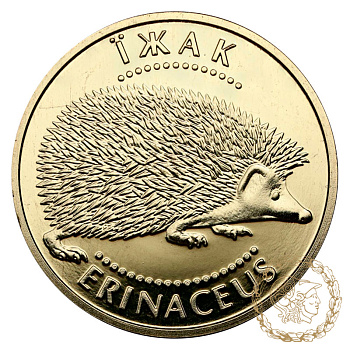 Золота монета 2 гривні 2006 рік, Україна. Їжак