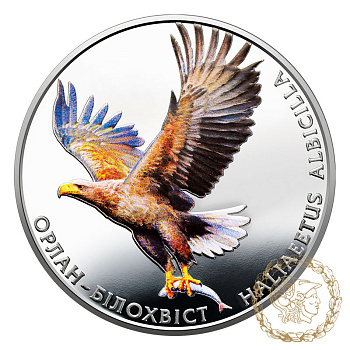 Монета нейзильбер 2 гривні 2019 рік, Україна. Орлан-білохвіст
