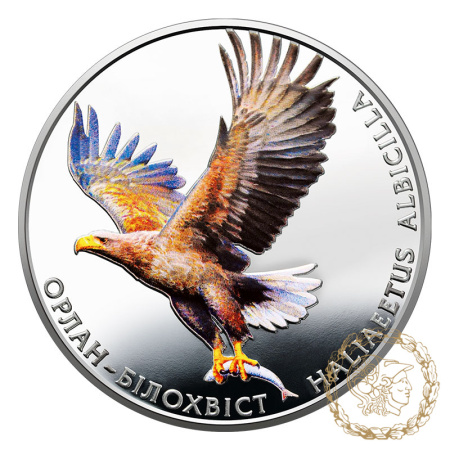 Монета нейзильбер 2 гривні 2019 рік, Україна. Орлан-білохвіст
