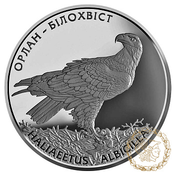 Срібна монета 10 гривень 2019 рік, Україна. Орлан-білохвіст