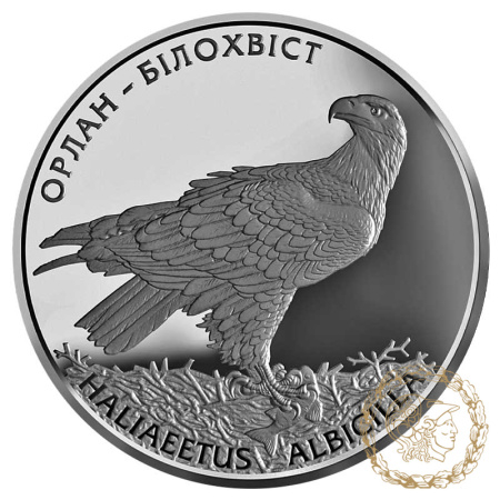 Срібна монета 10 гривень 2019 рік, Україна. Орлан-білохвіст