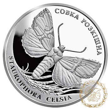 Срібна монета 10 гривень 2020 рік, Україна.  Совка розкішна