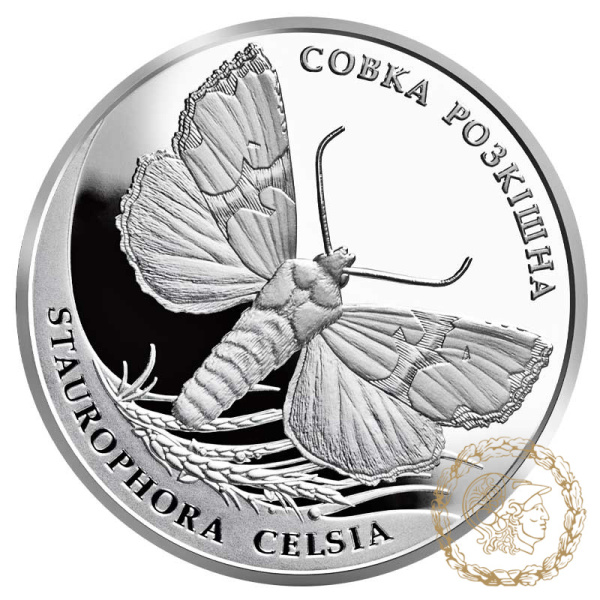 Срібна монета 10 гривень 2020 рік, Україна.  Совка розкішна