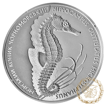 Срібна монета 10 гривень 2003 рік, Україна. Морський коник