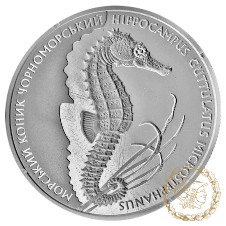 Срібна монета 10 гривень 2003 рік, Україна. Морський коник