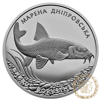 Срібна монета 10 гривень 2018 рік, Україна. Марена дніпровська